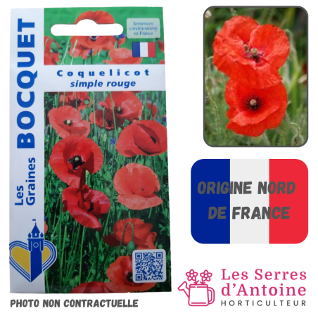 coquelicot simple rouge