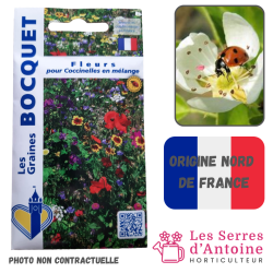 fleurs pour coccinelles en...