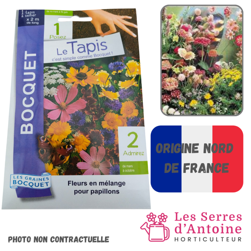 tapis de fleurs pour papillons en mélange