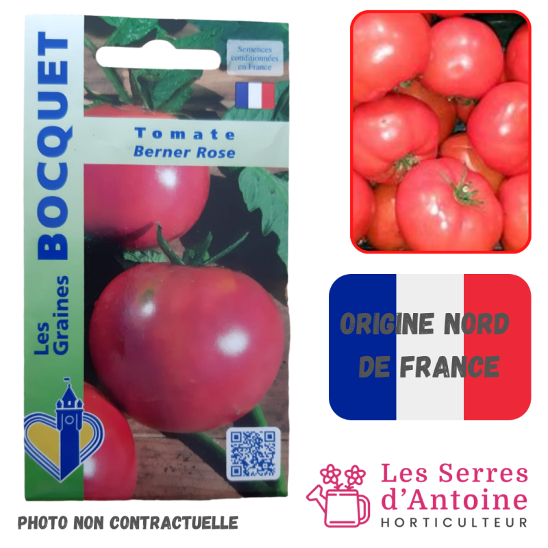 tomate andine cornue