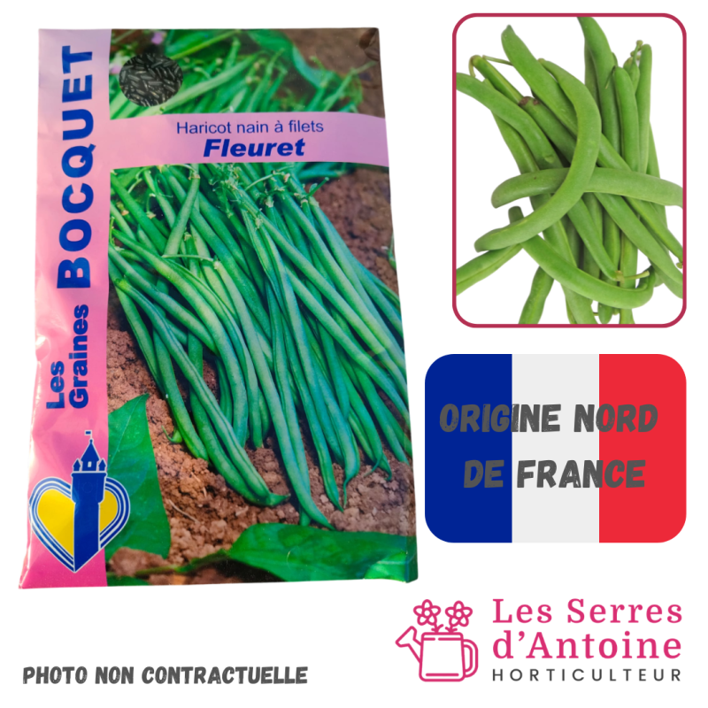 haricot nain à filets fleuret