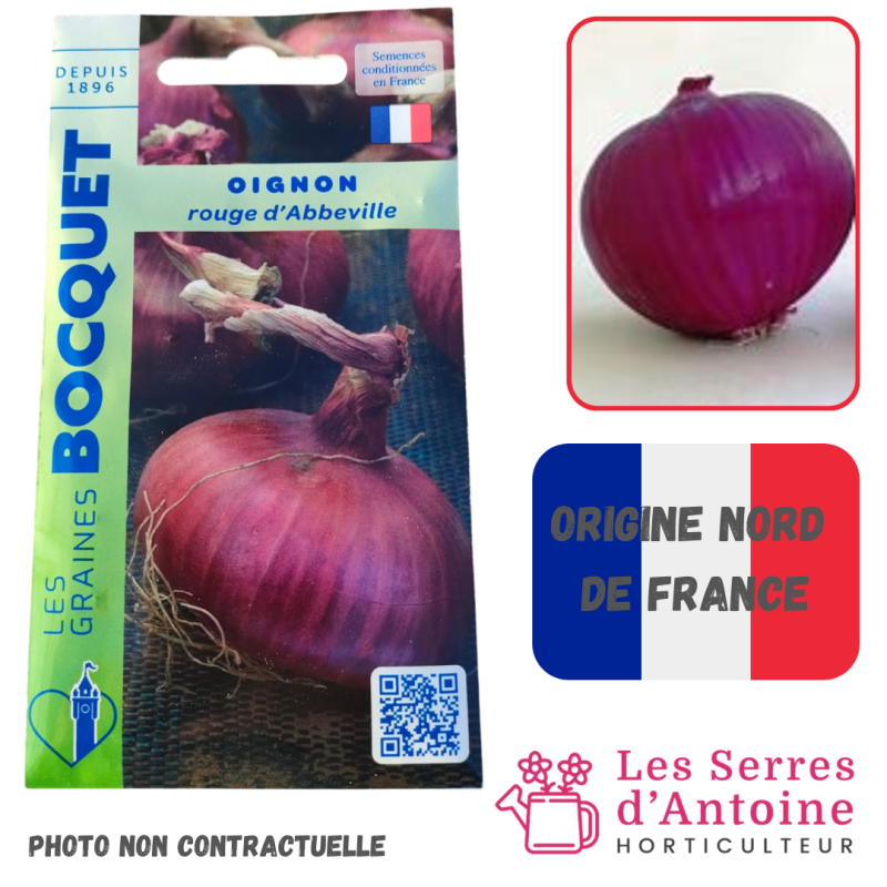 oignon rouge d'Abbeville