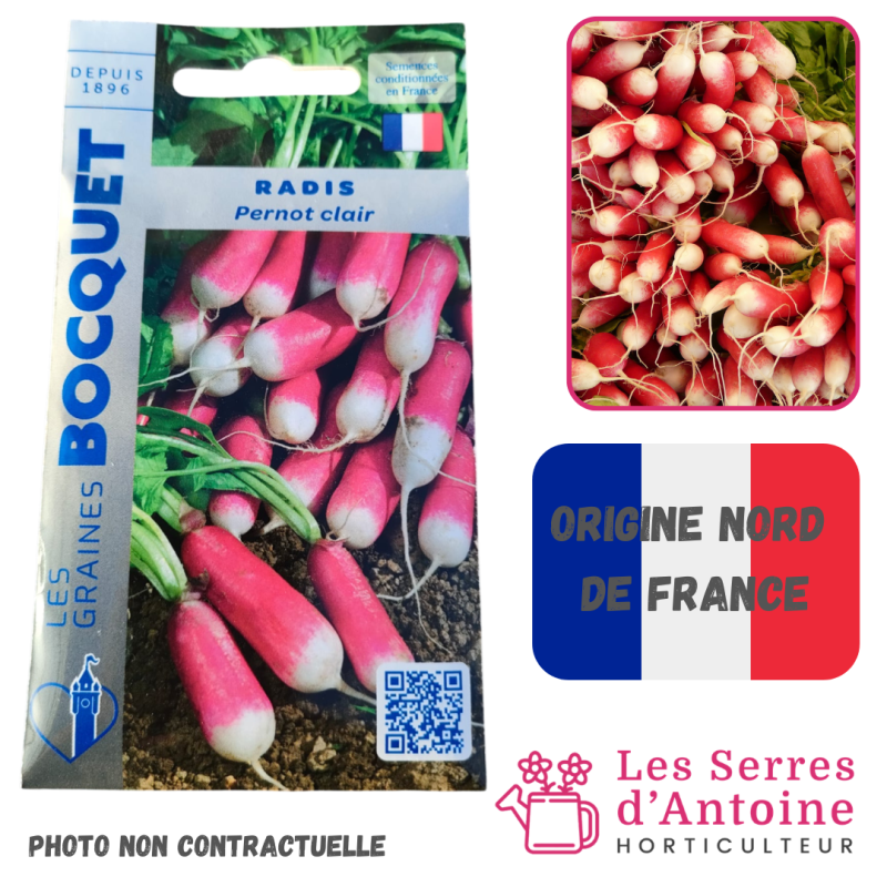 radis pernot clair