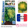 chicorée scarole géante maraichère
