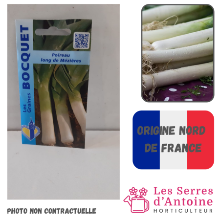 poireau long de Mézières