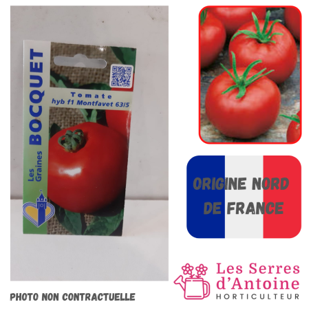 tomate hybride Montfavet 63/5 F1