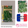 petit pois nain merveille de Kelvedon