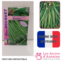 haricot nain mangetout braimar