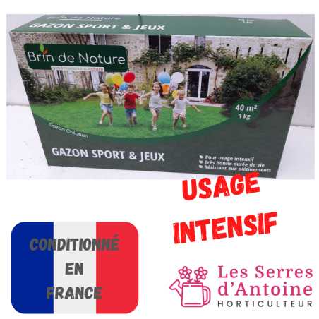 gazon sport et jeux 1 Kg