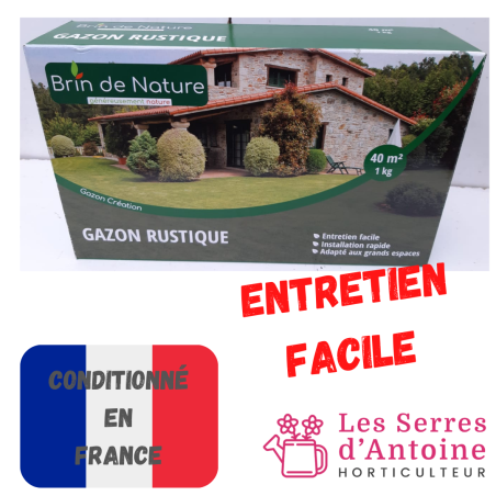 gazon rustique 1 Kg