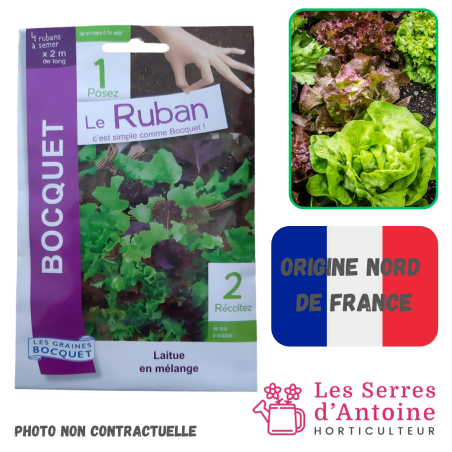 ruban de salade en mélange