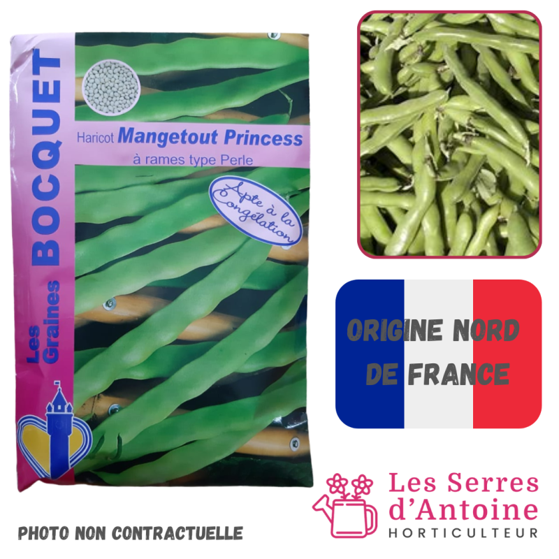 haricot mangetout princess