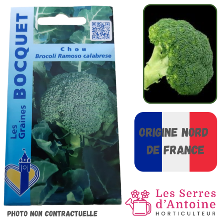 chou brocoli ramoso calabrese